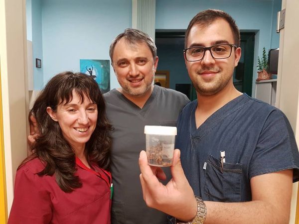 Гастроентеролози извадиха през устата на жена 10-сантиметров камък, „пораснал“ в стомаха й (СНИМКИ 18+)