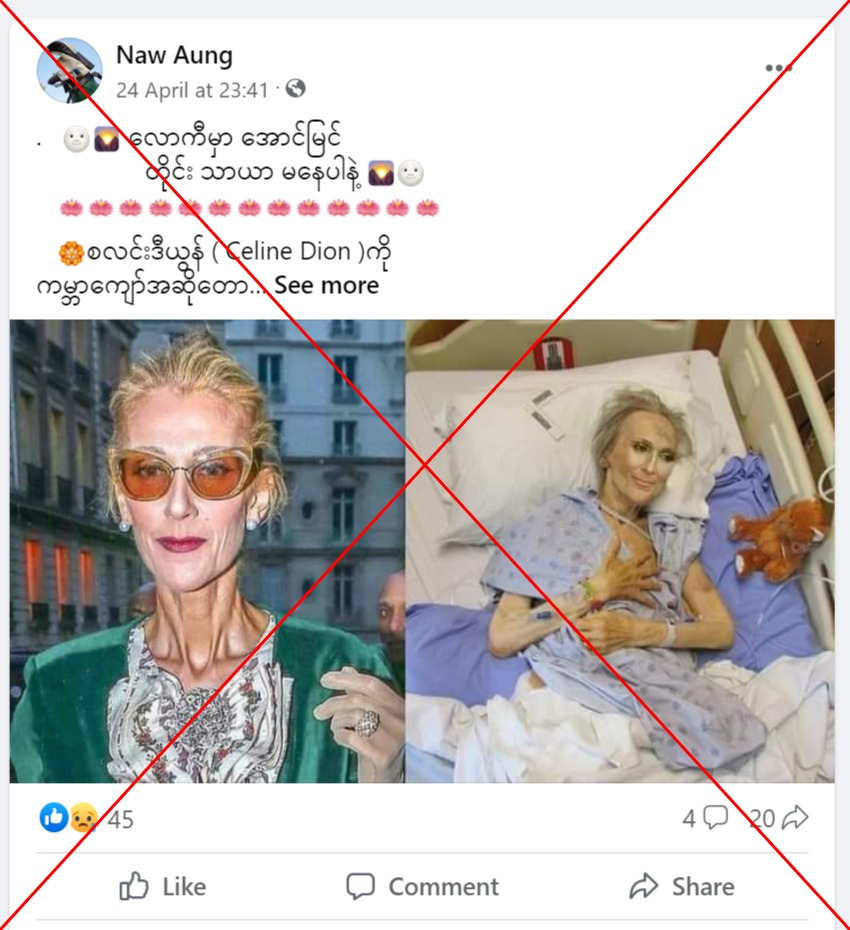 СНИМКА на Селин Дион от болницата побърка целия свят, истината обаче се оказа друга